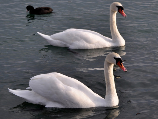 629658 (a): :2506x1880